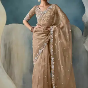 Elegant Beige Tissue Saree featuring a Stunning Handcrafted Cutwork Border